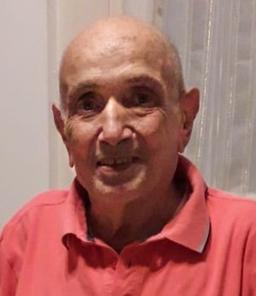 Pulici Abele