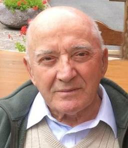 Metalli Luigi