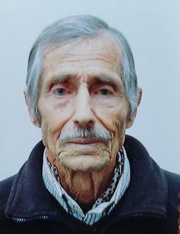 Zanella Giandomenico