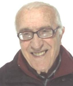 Salvi Attilio