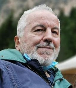 Benaglio Manlio
