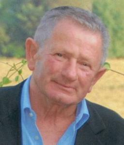 Bessi Mario (grillo)