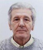 Stefini Attilio