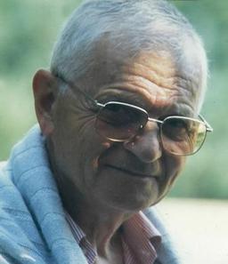 Minelli Arnaldo