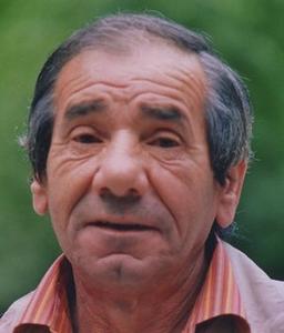 Bolis Lino Giuliano