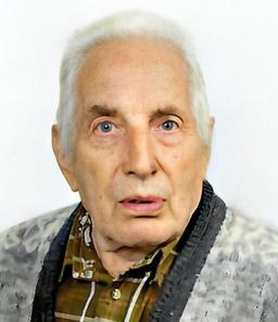 Salvi Angelo