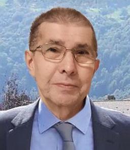 Pesenti Domenico