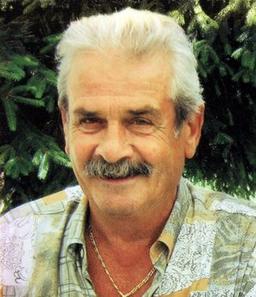 Giuliani Domenico