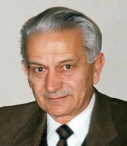 Ferrini Iginio Ingegner