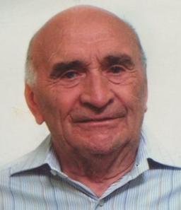 Stroppa Pietro Luigi (gino)