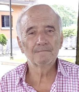 Bosis Arminio