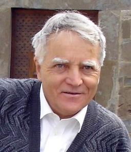 Amboni Sauro