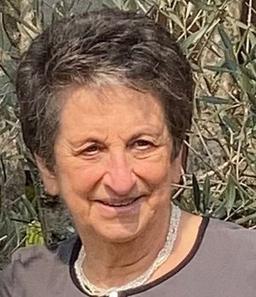 Losi Aurelia