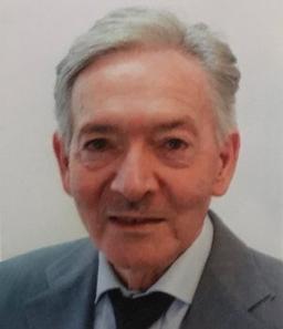 Vegini Romano