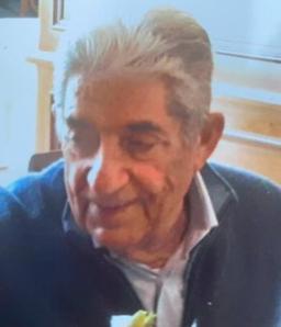 Cesta Roberto