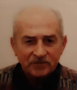 Festa Vito