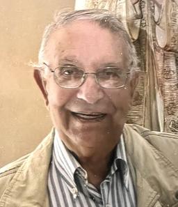 Cernuschi Luigi Domenico