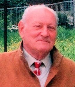 Mangili Domenico