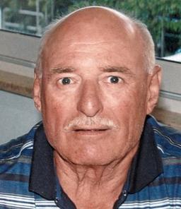 Rota Luigi Emilio