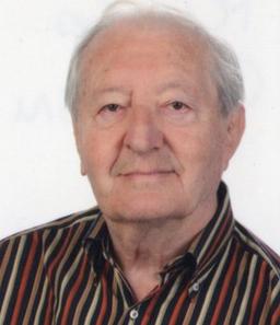 Maggi Gino