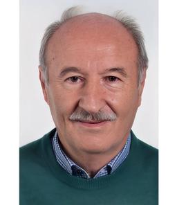Bergonzi Mario