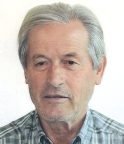 Minetti Luigi (gino)