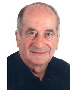 Caironi Silvio (domenico)