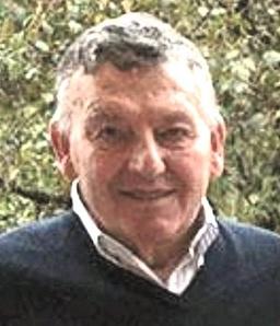 Milesi Domenico
