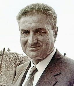 Falconi Angelo