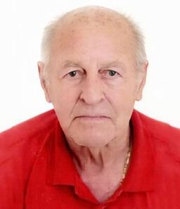 Salvi Antonio