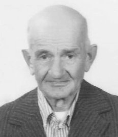 Zucclini Celesto (patri)