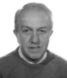 Piccioli Dario