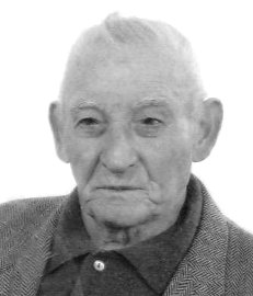 Signorelli Angelo