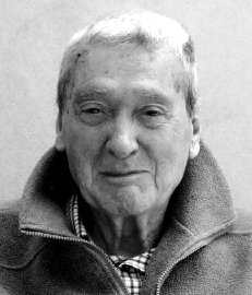 Perico Domenico