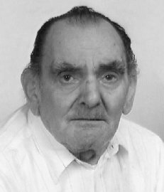 Colombo Angelo