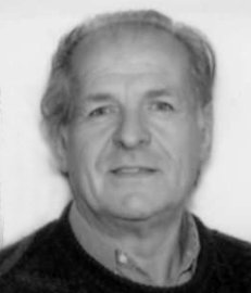 Grigis Salvino