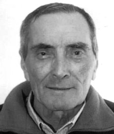 Vavassori Mario