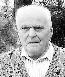 Ferro Plinio