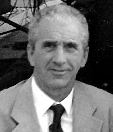 Gelmini Angelo