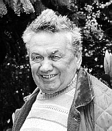 Salvi Gino