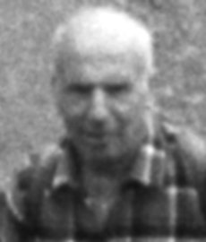 Riccardi Domenico Bettino