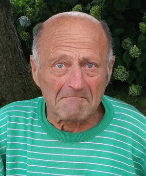Foresti Guglielmo