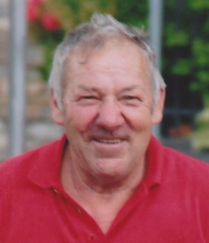 Meloni Luigi Stefano