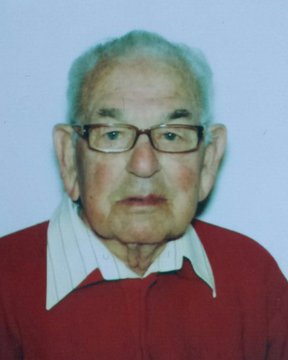 Grigis Pietro