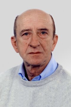 De Luca Raffaele