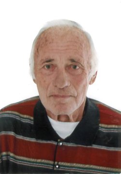 Angeloni Domenico