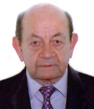 Vigani Luigi