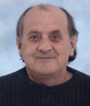 Galli Dino