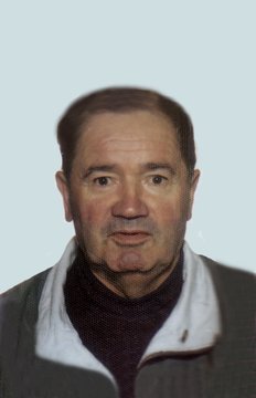 Gelmini Giuseppe Adriano