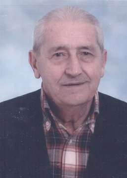Brignoli Amadio (vivolo)